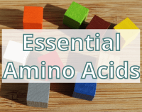 article preview  - Essential Amino Acids