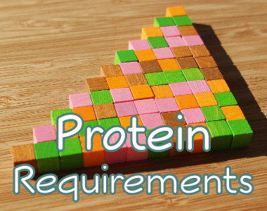 Protein Requirements Including For Muscle Gain