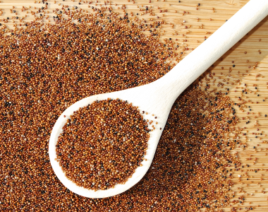 Canihua (Kaniwa) - das neue Quinoa?