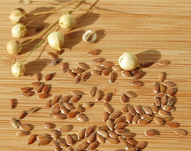 Leinsamen - kleine Samen mit großer Wirkung
