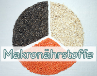 Artikelvorschau Makronährstoffe - Makronährstoffe und Nährstoffverteilung