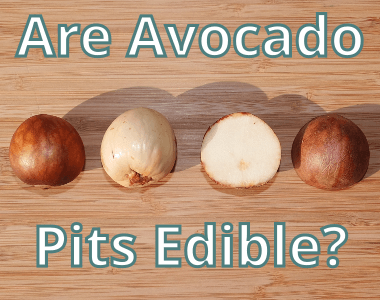 Are avocado seeds edible or poisonous?