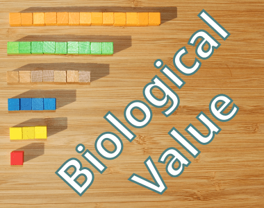 Biological Value