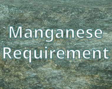 Daily Manganese Requirement