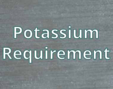 Daily Potassium Requirement