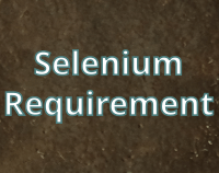 article preview  - Daily Selenium Requirement