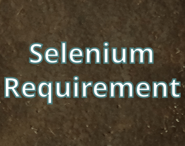 Daily Selenium Requirement