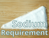 article preview  - Daily Sodium Requirement