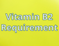 article preview  - Daily Vitamin B2 Requirement