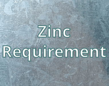 Daily Zinc Requirement