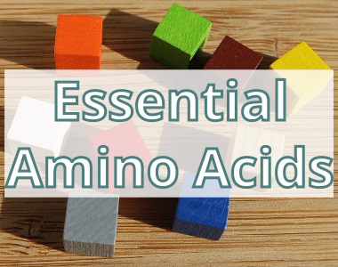 Essential Amino Acids