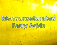 article preview macronutrients - Monounsaturated Fatty Acids