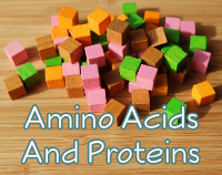 article preview  - Proteins And Amino Acids - Building Blocks Of The Body