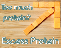 article preview  - Excess Protein