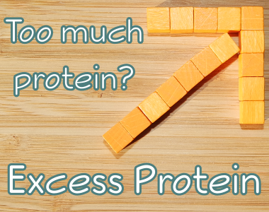Protein Excess - Too Much Protein Unhealthy?