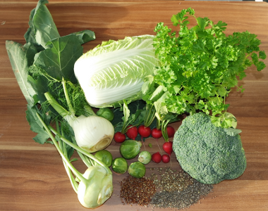 Vegan Foods With Calcium / Plant-based Calcium