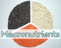 article preview  - Macronutrients Definition And Nutrient Ratio