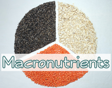 Macronutrients Definition And Nutrient Ratio