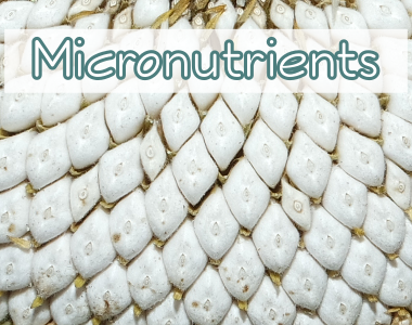 Micronutrients - Nutrients With Elementary Importance