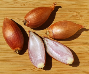 Shallots