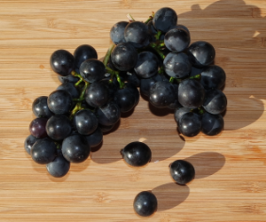 Grapes (Muscadine)